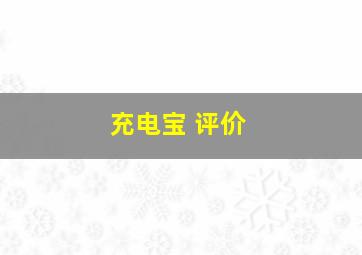 充电宝 评价